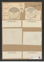 Coscinodiscus bioculatus Grun. (de-Toni-Nr.: Genus 202, Species 4924) Zeichnungen Sammlung Grunow Nr. 8696 (NHMW-BOT-W0378117)